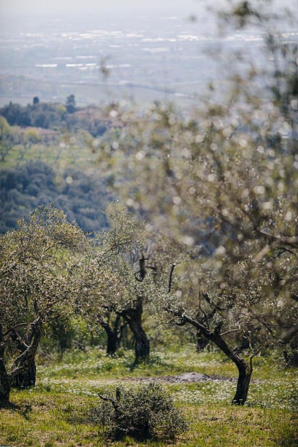 Villa Desiderio TUSCANY Pistoya Exterior foto