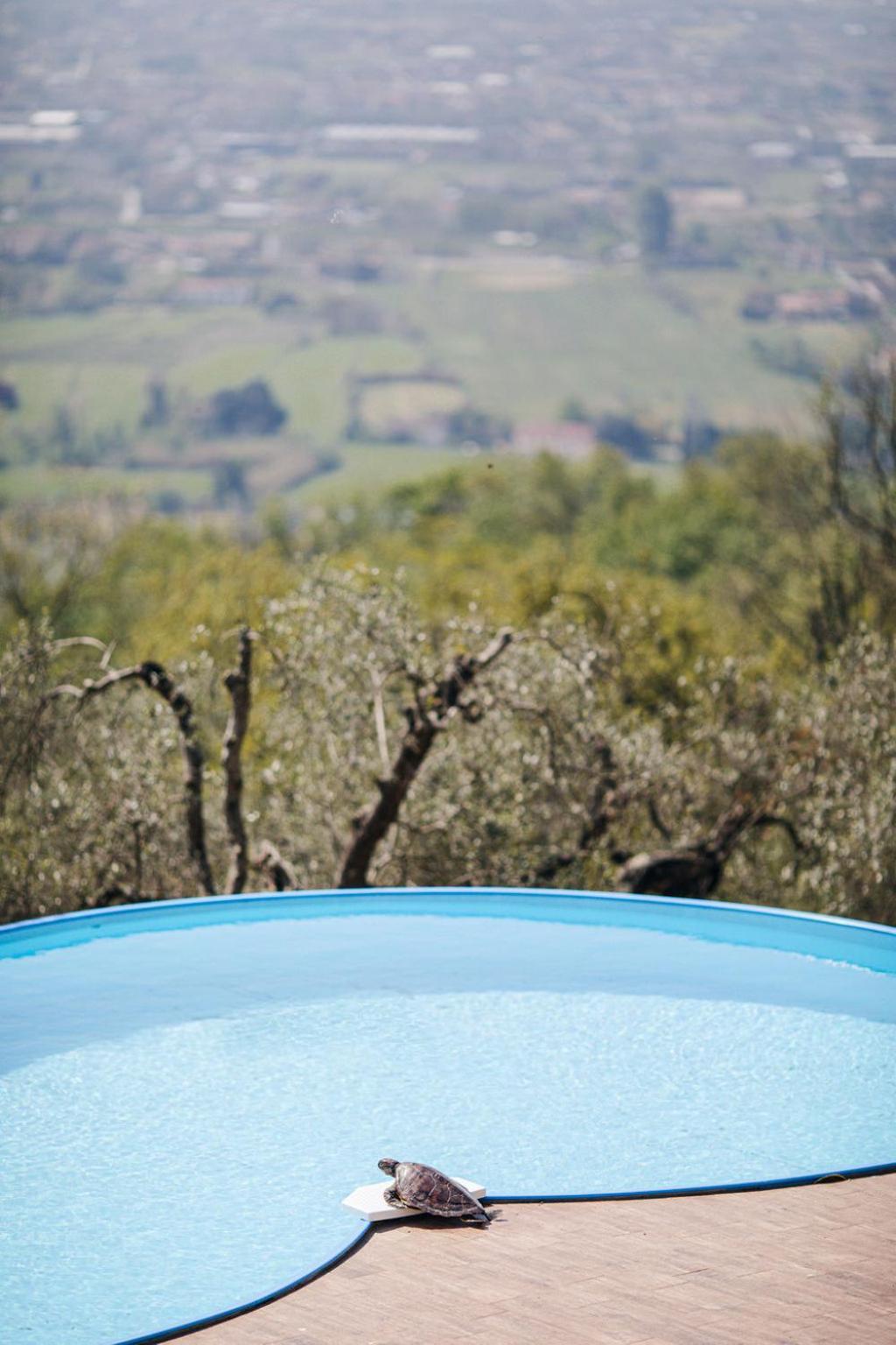 Villa Desiderio TUSCANY Pistoya Exterior foto