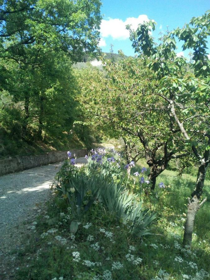 Villa Desiderio TUSCANY Pistoya Exterior foto